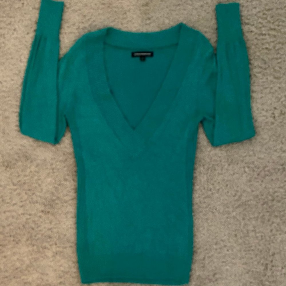 Express Design Studio Deep V-Neck Sweater